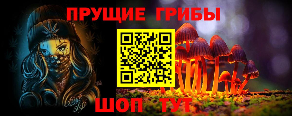 Псилоцибиновые грибы MAGIC MUSHROOMS  Галлюциногенные грибы прущие грибы  Клинцы  Вход с VPN 